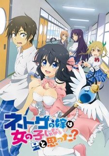 Netoge no Yome Sub Indo