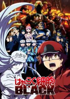 Hataraku Saibou Black Sub Indo