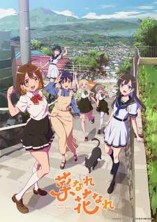 Na Nare Hana Nare (Episode 1 – 12) Subtitle Indonesia